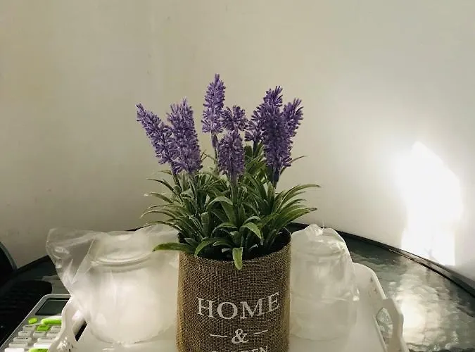 Yzabelle Otel Eforie Nord